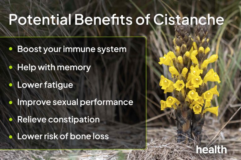 6 Effects That Taking Cistanche Can Have on Your Body