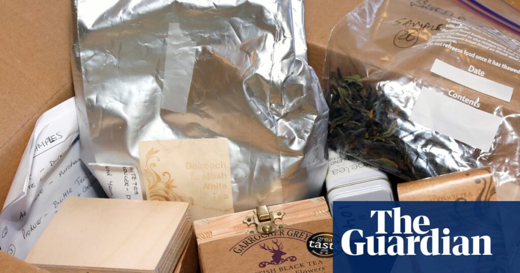 A strange brew: the case of the man behind an audacious Scottish tea fraud | Scotland A strange brew: the case of the man behind an audacious Scottish tea fraud | Scotland