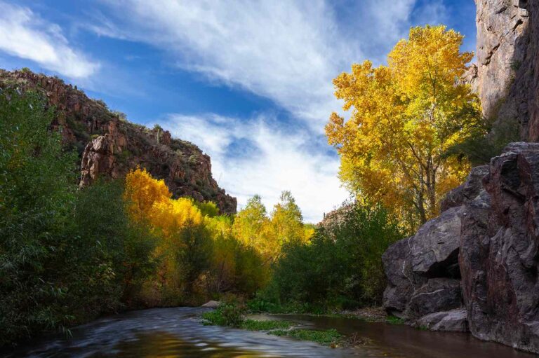 Aravaipa Canyon in Arizona Rivals Zion, With Foliage That Peaks in November