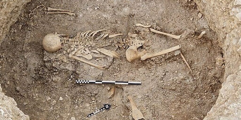 Archaeologists stunned by evidence of ‘theatrical’ human sacrifice unearthed in Dorset Archaeologists stunned by evidence of 'theatrical' human sacrifice unearthed in Dorset