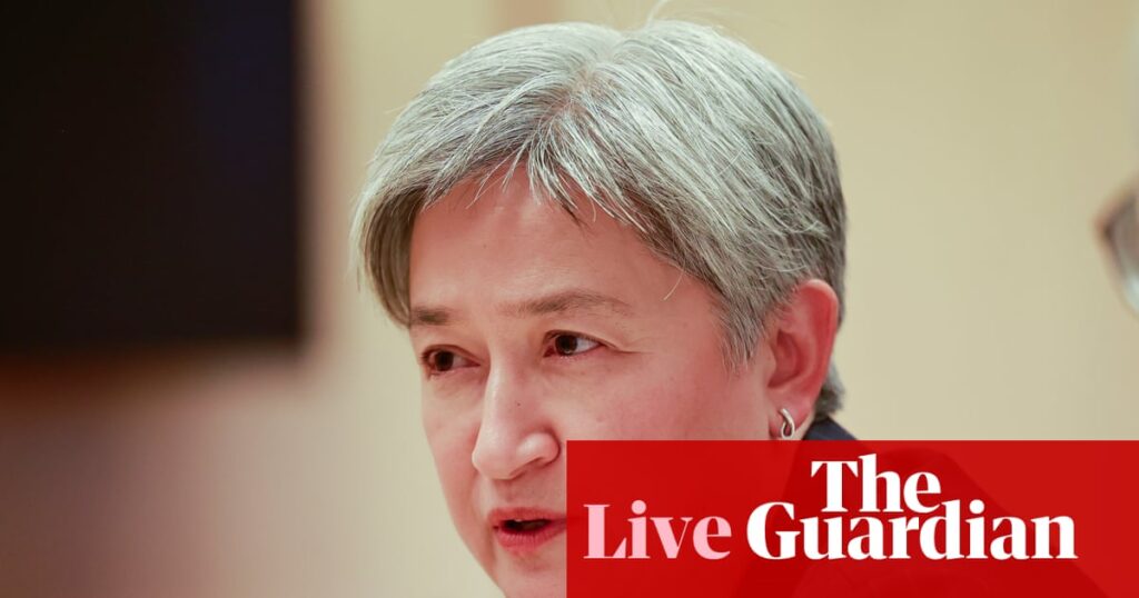 Australia news live: Wong says meeting between Trump and Albanese a ‘great success’; Cash calls on PM to condemn Chinese jet incident | Australia news
