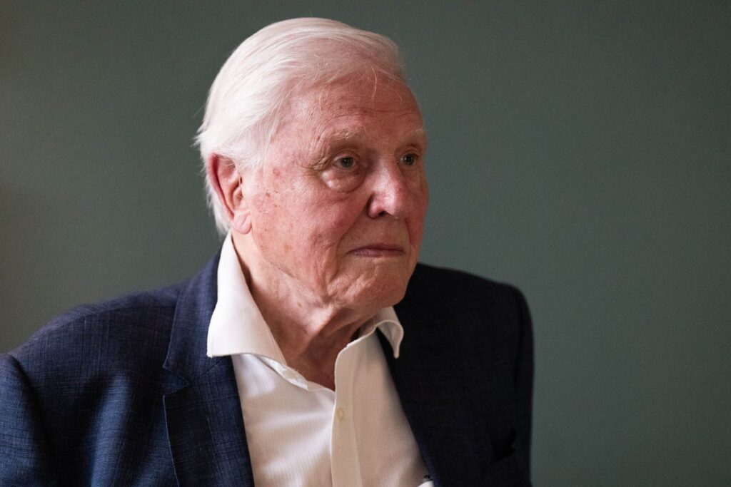 David Attenborough backs £30 million bid to buy historic Rothbury Estate