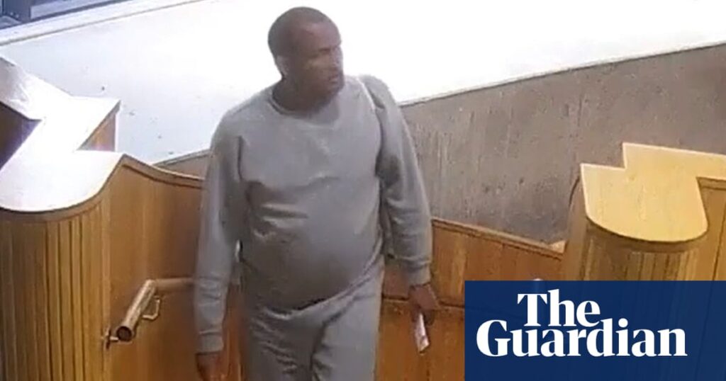 Epping sex offender back in custody after being released from prison in error | UK news Epping sex offender back in custody after being released from prison in error | UK news