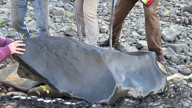 Father and son discover fossilized ichthyosaur skull in B.C.’s Kiskatinaw River valley Father and son discover fossilized ichthyosaur skull in B.C.'s Kiskatinaw River valley