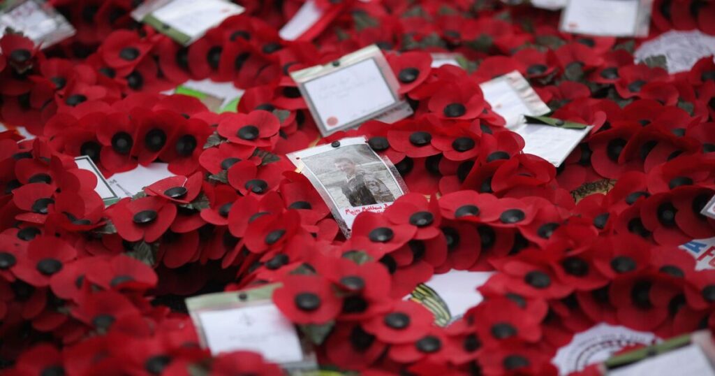 Fury as council cancels Remembrance Sunday parade over ‘health and safety fears’ | UK | News Fury as council cancels Remembrance Sunday parade over ‘health and safety fears’ | UK | News