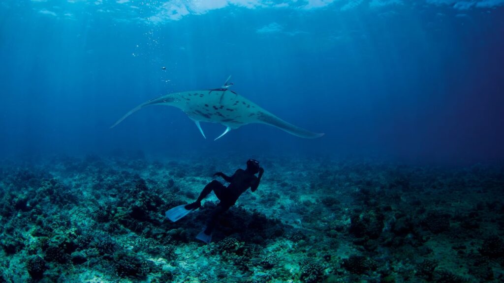 In the Maldives, Luxury Takes Many Shapes Condé Nast Traveler