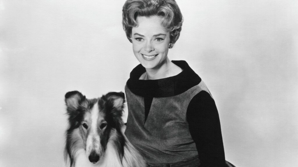 June Lockhart, ‘Lassie’ and ‘Lost in Space’ Actress, Dead at 100 June Lockhart, ‘Lassie’ and ‘Lost in Space’ Actress, Dead at 100