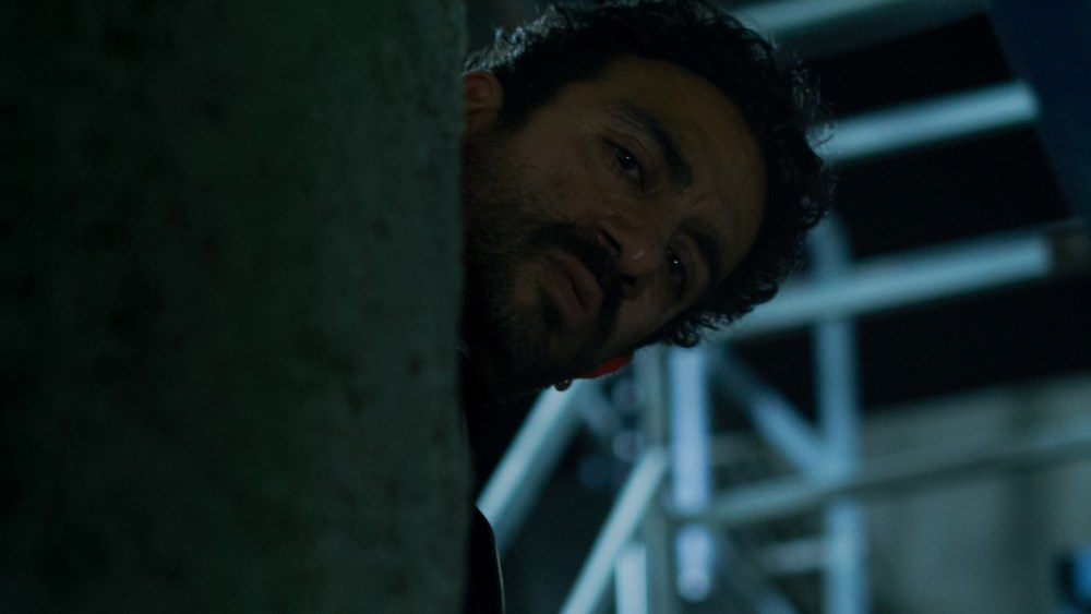 Neon’s Big Five International Oscars Campaigns Neon's Big Five International Oscars Campaigns