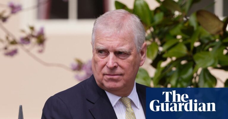 Prince Andrew tried to hire ‘internet trolls’ to hassle Virginia Giuffre, book claims | Prince Andrew