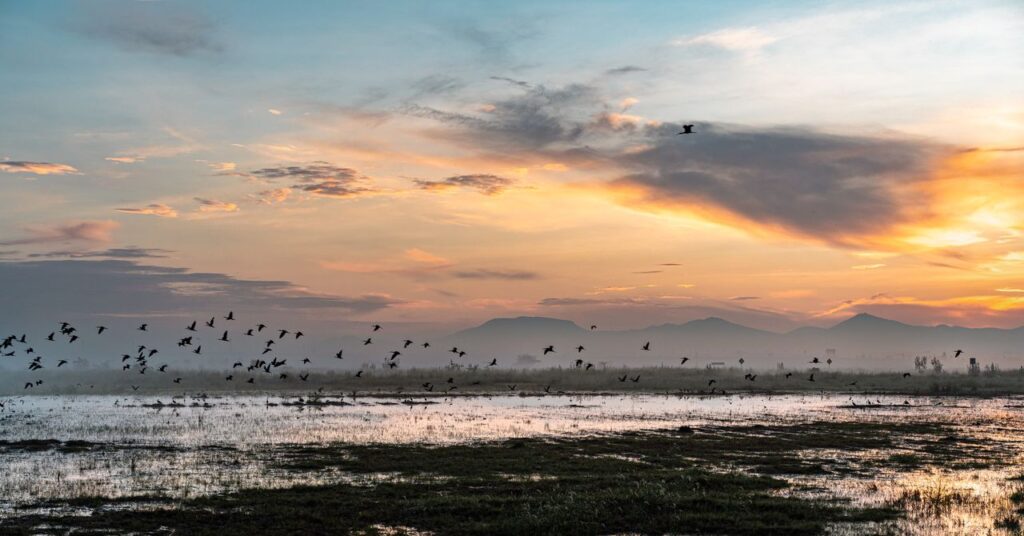 Rainfall Buries a Mega-Airport in Mexico Rainfall Buries a Mega-Airport in Mexico