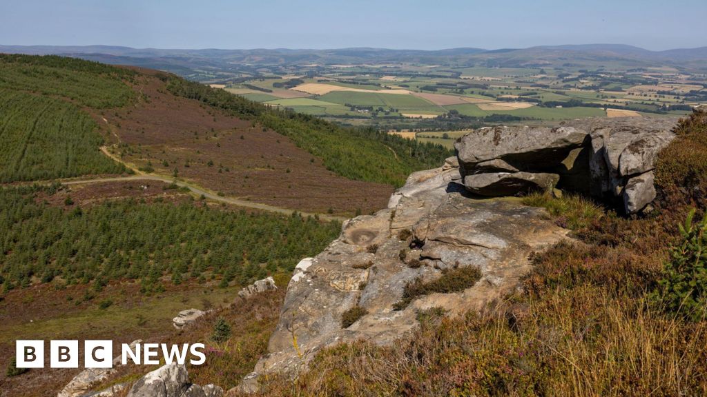 Sir David Attenborough backs bid to buy Rothbury Estate Sir David Attenborough backs bid to buy Rothbury Estate