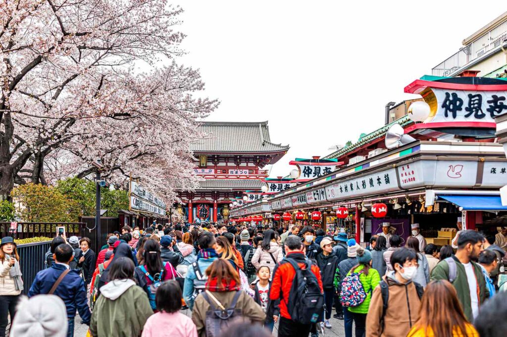 This Is the One Souvenir You Should Get in Japan