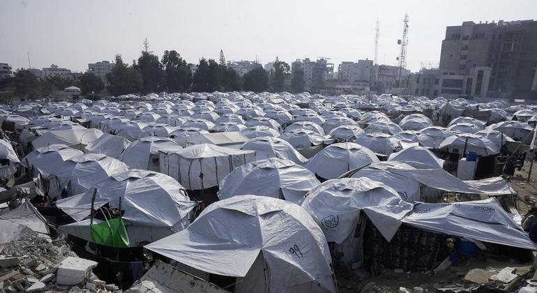 UN warns Gaza’s displaced face freezing nights and food shortages UN warns Gaza’s displaced face freezing nights and food shortages