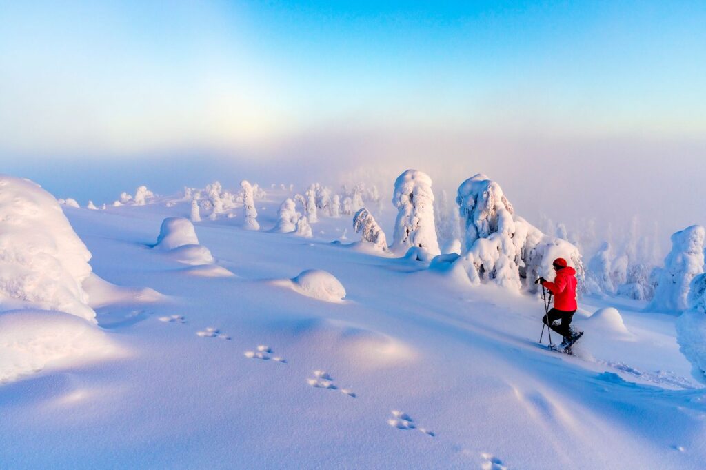 We Asked 5 Travel Experts Their Favorite Winter Wonderland Destinations—and They All Said the Same Thing We Asked 5 Travel Experts Their Favorite Winter Wonderland Destinations—and They All Said the Same Thing