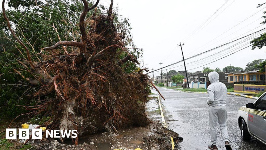 Windows blown in, trees uprooted and croc warnings Windows blown in, trees uprooted and croc warnings