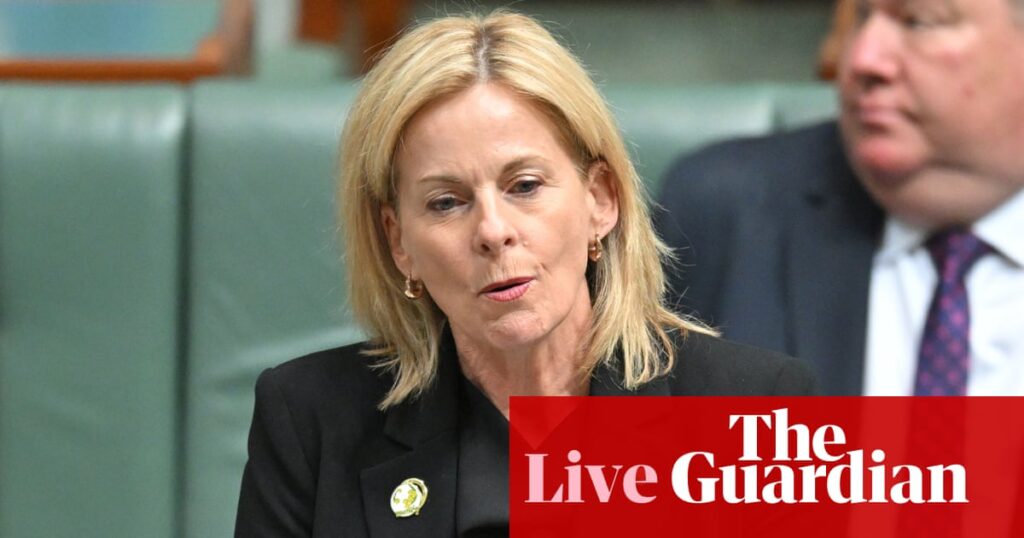 Australia news live: Liberals ‘not ruling anything out’ on revised energy policy as Nationals weigh up formally ditching net zero | Australian politics