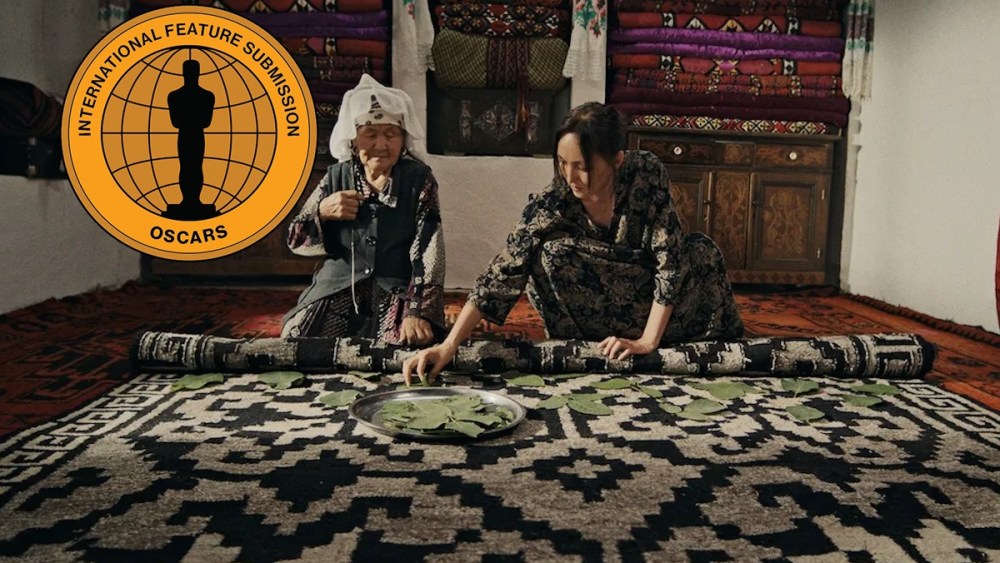 Emotionally Underpowered Kyrgyz Oscar Entry