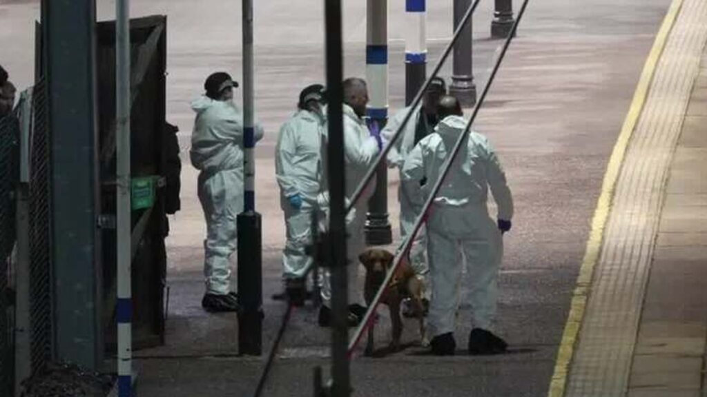 Scenes of crime officers and a sniffer dog were called in to try to piece together what happened on board