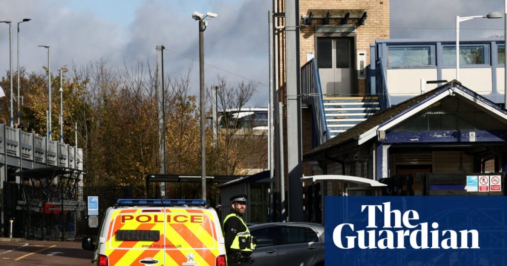 Police ‘forced to disclose ethnicity of suspects to counter far-right speculation’ | Police