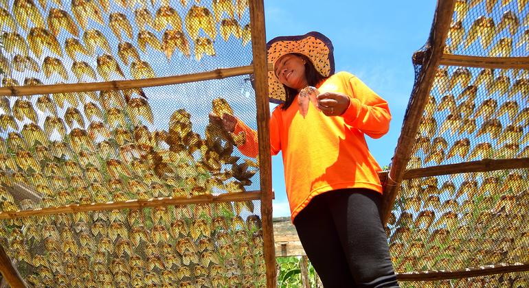 Workers face worsening inequality without urgent reforms, UN agency warns Workers face worsening inequality without urgent reforms, UN agency warns