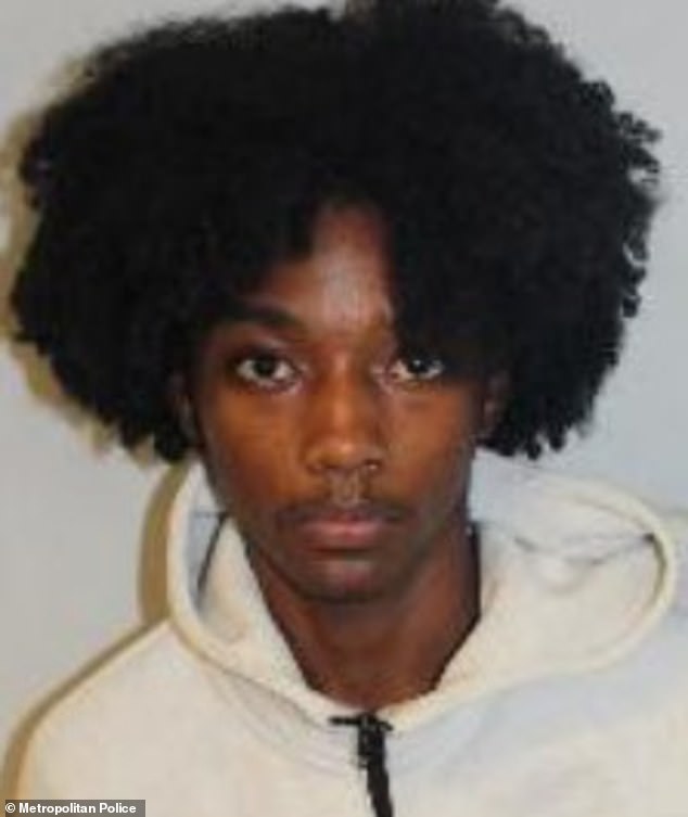 Bingham, aged 16 at the time of the attack and known as ¿Ghost¿, was found guilty of murder
