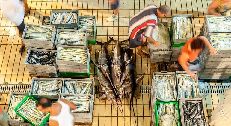 Fresh report warns fish fraud extends to one fifth of global catch Fresh report warns fish fraud extends to one fifth of global catch