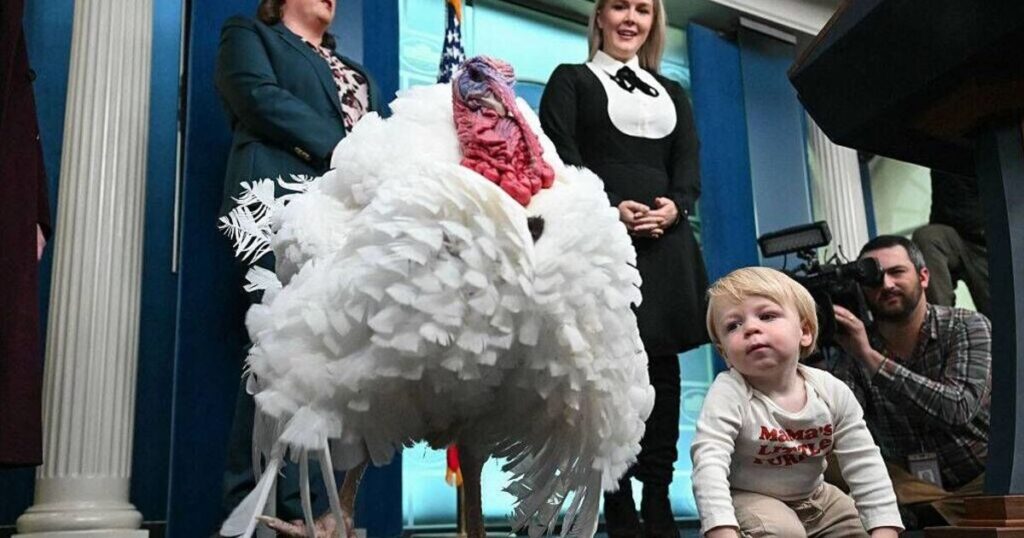 'Unflattering' Karoline Leavitt photo removed from internet after White House meltdown | World | News