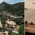 7 Resorts Where You Can Help Baby Turtles Reach the Sea