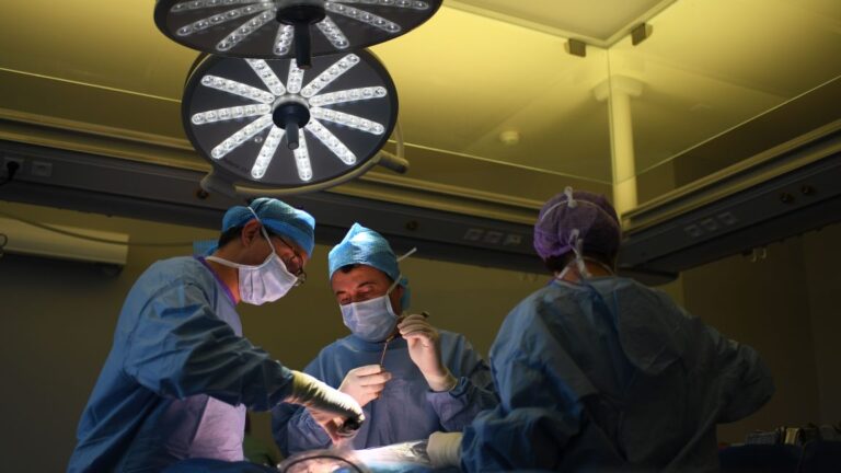 Florida surgeon charged with killing man after removing liver instead of spleen