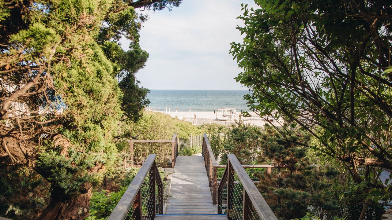 Hamptons Itinerary: A Bittersweet Homecoming on a Wellness Weekend With My Son