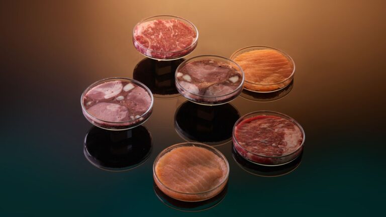 How Chefs Are Experimenting with Lab-Grown Meat