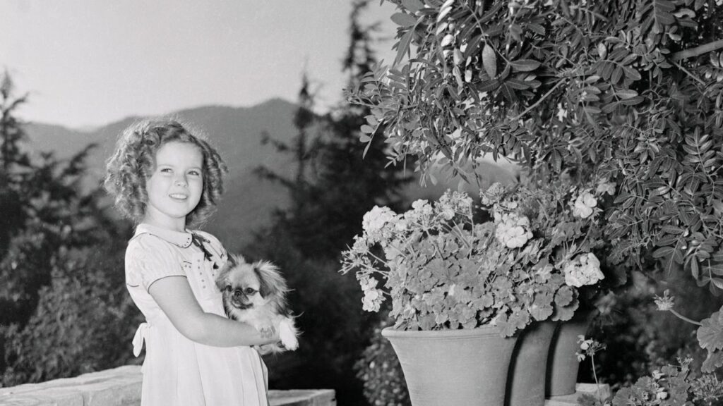 Shirley Temple at Home: 25 Photos of the Off-Duty Child Star Through the Decades