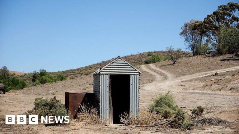 Woman trapped in sewage pit for three hours after outback toilet collapses