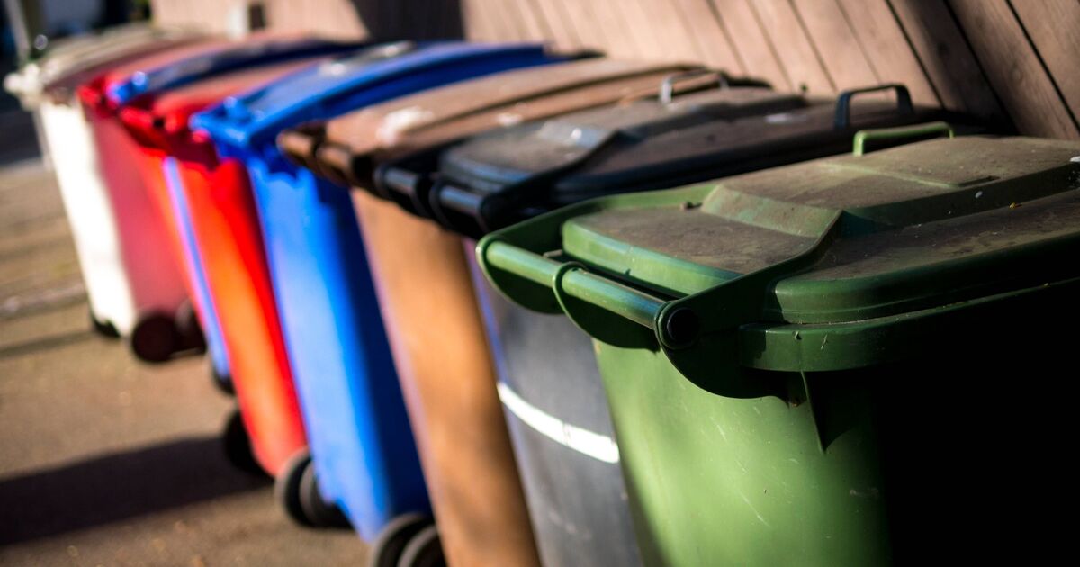 Binman's 'do not' warning to UK households with a wheelie bin | UK | News