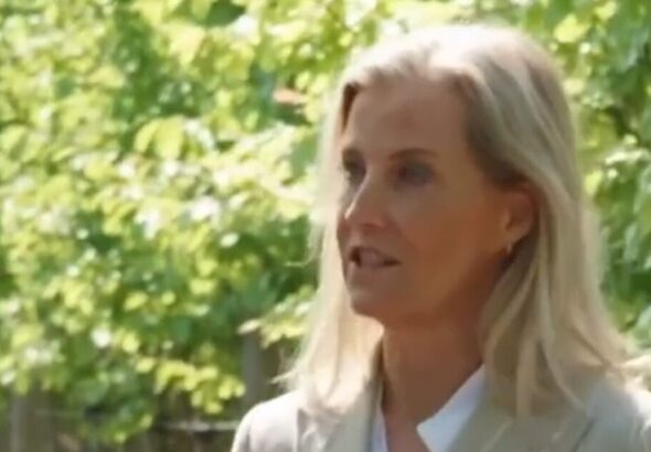 Duchess Sophie gives rare interview to TV legend | Royal | News