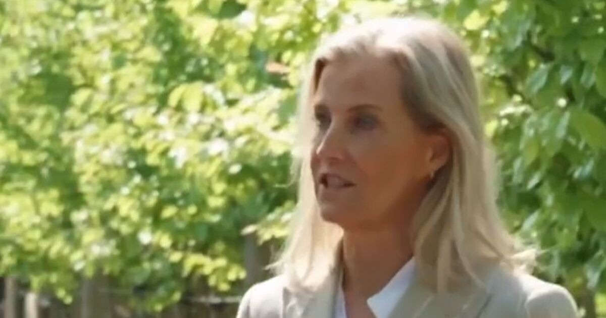 Duchess Sophie gives rare interview to TV legend | Royal | News