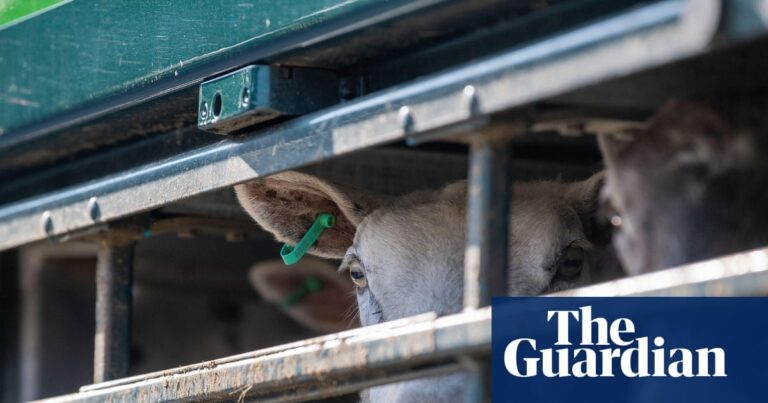 EU preparing to offer key concession to UK in new post-Brexit agricultural deal | European Union