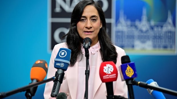 Foreign affairs minister condemns 'appalling abuse' of Canadian flotilla activists detained in Israel