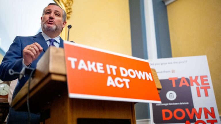 Ted Cruz stands behind a podium emblazoned with an orange "Take It Down Act" sign. He's in the middle of speaking to an audience.