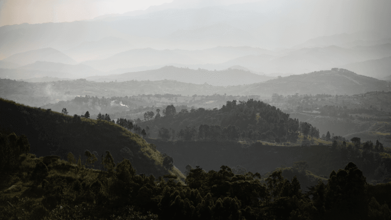 In Uganda, The Gorillas Are Only Part of The Appeal