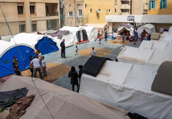Lebanon war leaves families foraging for food despite ceasefire