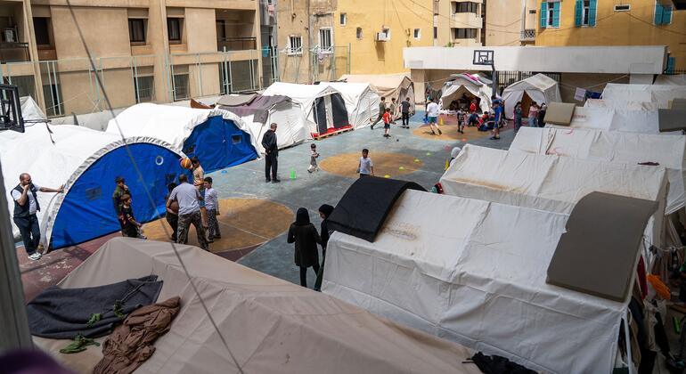 Lebanon war leaves families foraging for food despite ceasefire