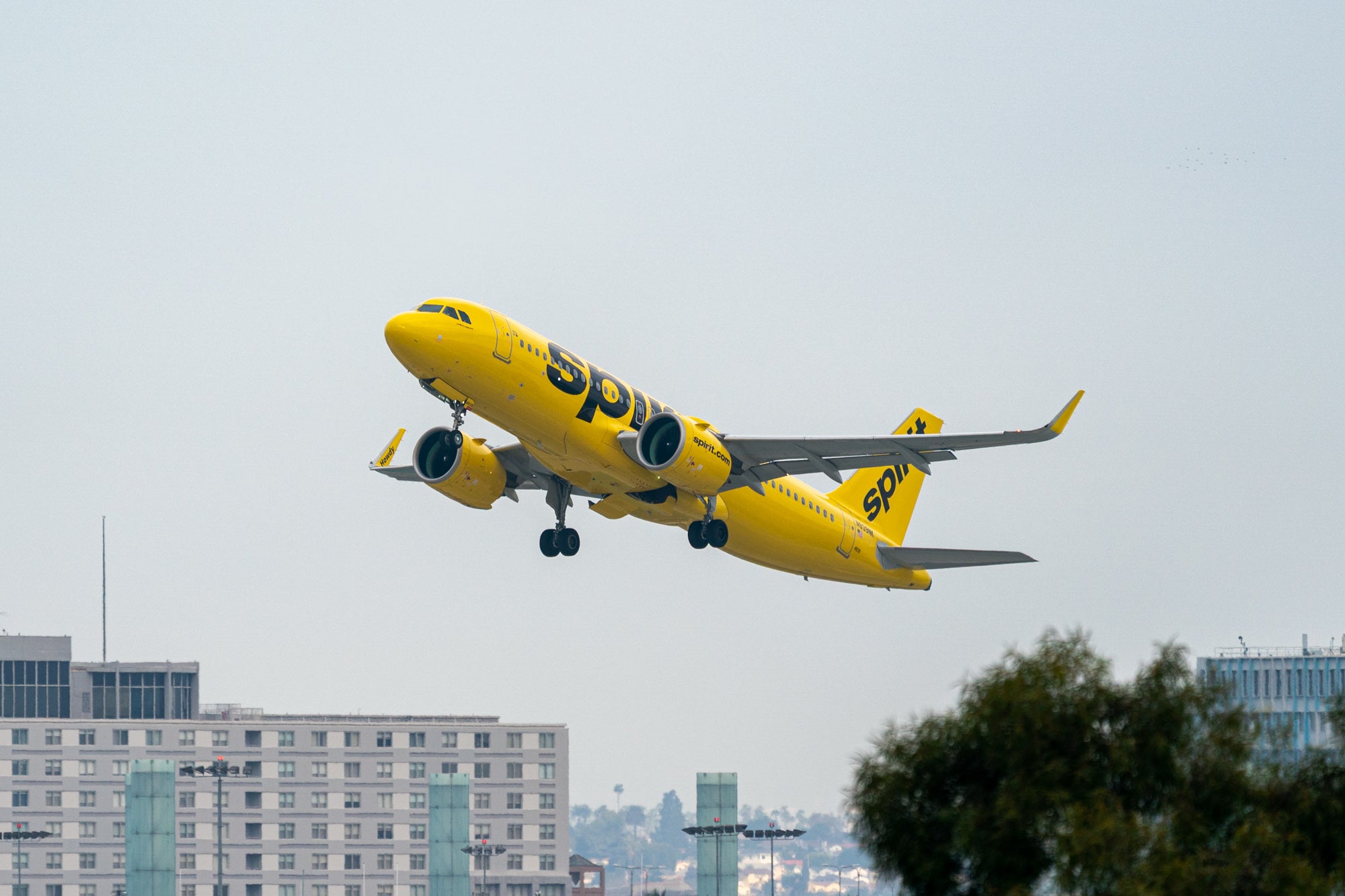 Spirit Airlines has gone out of business