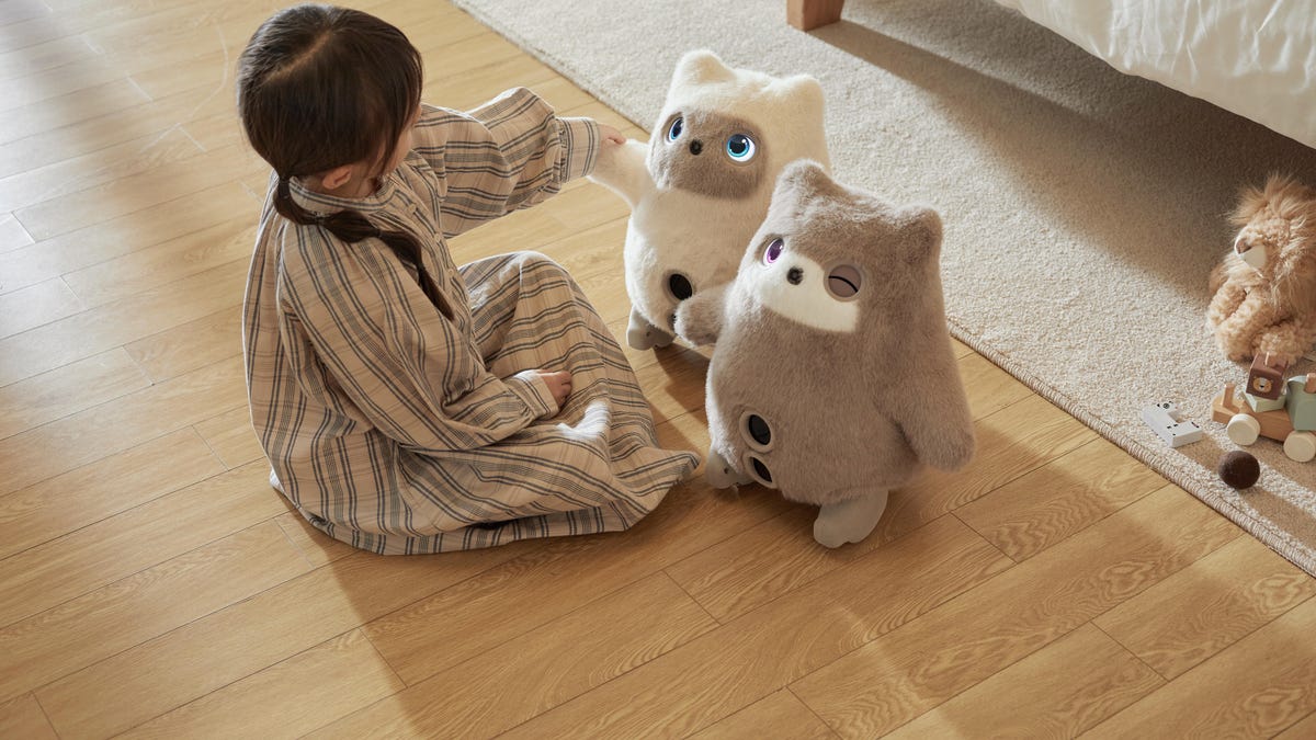 A child with two Kata Friends on a wood floor.