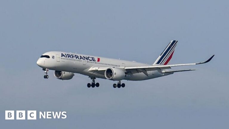 US-bound plane diverts to Canada after person from Ebola-hit region boards 'in error'