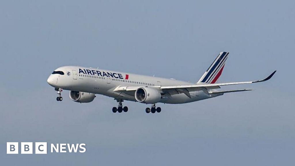 US-bound plane diverts to Canada after person from Ebola-hit region boards 'in error'