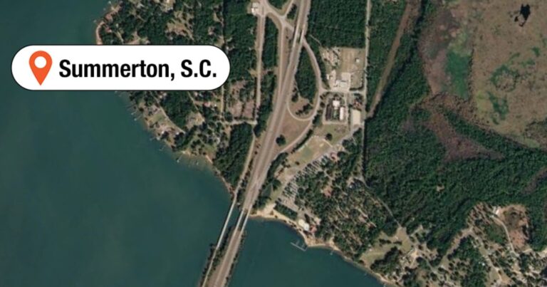 Woman killed by flying patio umbrella while dining at South Carolina restaurant