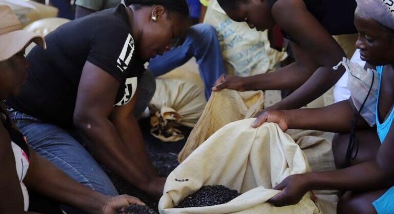 World News in Brief: Haiti crisis continues, Gaza-West Bank update, Sir David Attenborough at 100