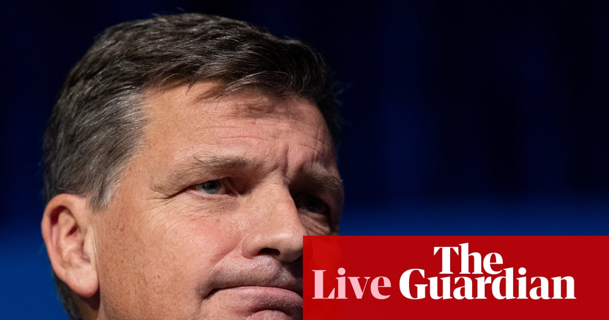 Australia politics live: Angus Taylor rejects Japan comparison amid multiculturalism debate; Hanson offers Stefanovic a post-Nine job