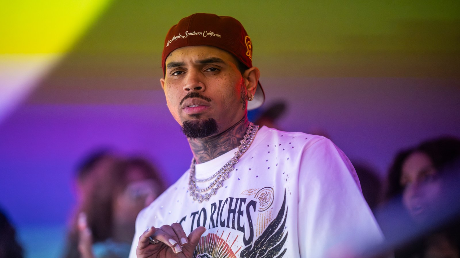 Chris Brown's Dog Mauling Trial Scrapped Due to Juror Misconduct